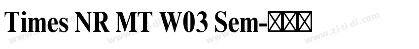 Times NR MT W03 Sem字体转换 Times NR MT W03 Sem字体转换
